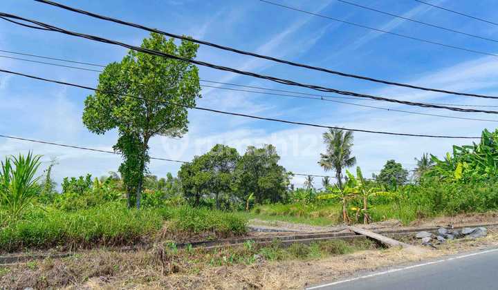 Land by the Road Near Bali Safari Park Land by the Road Near Bali Safari Park