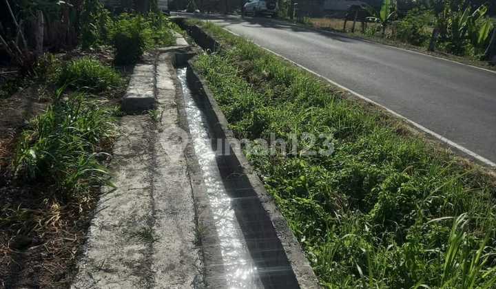Land with Sea View - Gianyar Area in Gianyar 2215.0 M² SHM