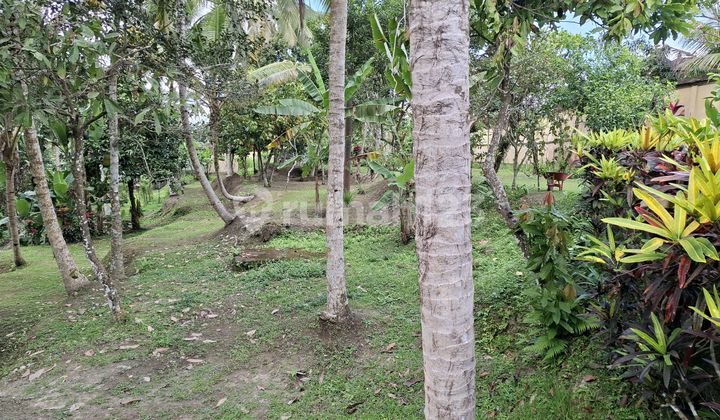 Land and Riverside Villa Ubud