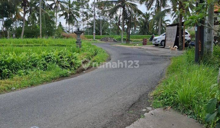 Villa Tepi Sungai 3 Lantai Shm Sudah Renovasi Timur 2