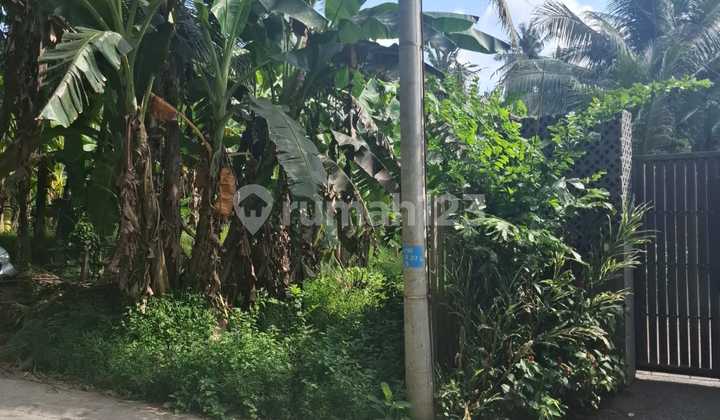 Tanah Prime di Pantai Saba - Sebelah Villa Mimpi Resort Tanah Prime di Pantai Saba - Sebelah Villa Mimpi Resort