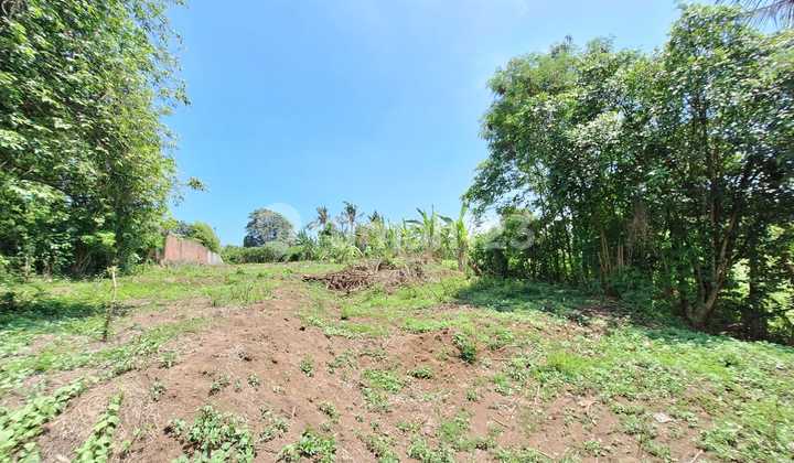 Ocean View Land - Saba Area SHM 2600.0 Land M²