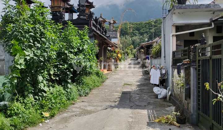 Jual Tanah Kosong Tabanan Baturiti Bali Jual Tanah Kosong Tabanan Baturiti Bali