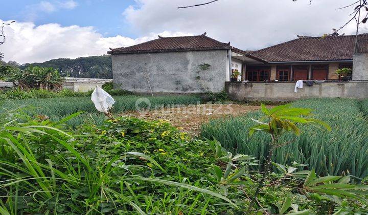 Dijual Tanah Kosong Di Tabanan Bali 2