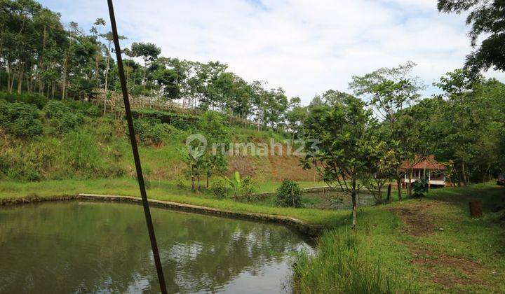 Dijual Tanah Di Ciwidey Bandung Selatan Bonus Villa  2