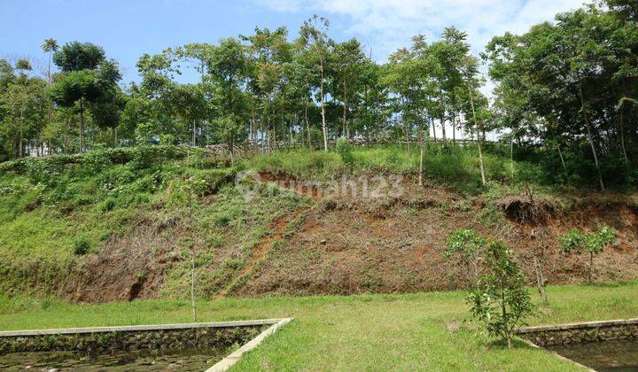 Dijual Tanah Di Ciwidey Bandung Selatan Bonus Villa  1