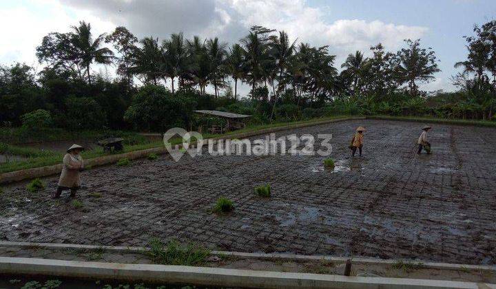 Tanah Lokasi Strategis Dijual di Jalan Raya Secang Magelang

 1