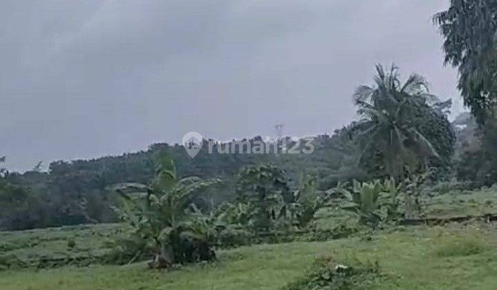 Tanah Pinggir Jl Raya Parung Bogor Cocok Untuk Pabrik Dan Gudang 2