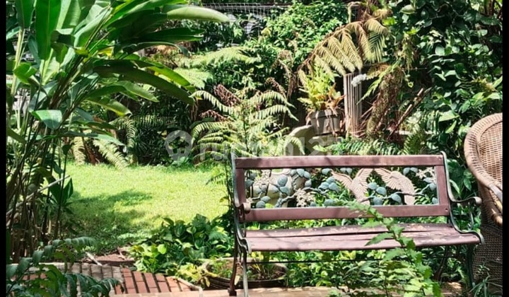 Rumah Asri Siap Huni Bebas Banjir Lingkungan Aman Nyaman