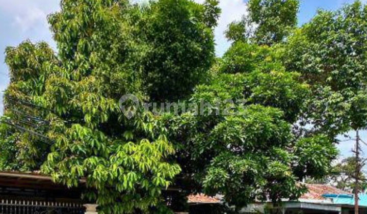 Rumah Lama Siap Huni Bebas Banjir