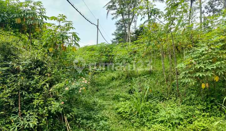 Tanah Industri Siap Bangun Gudang / Pabrik Di Tengaran -.semarang 2