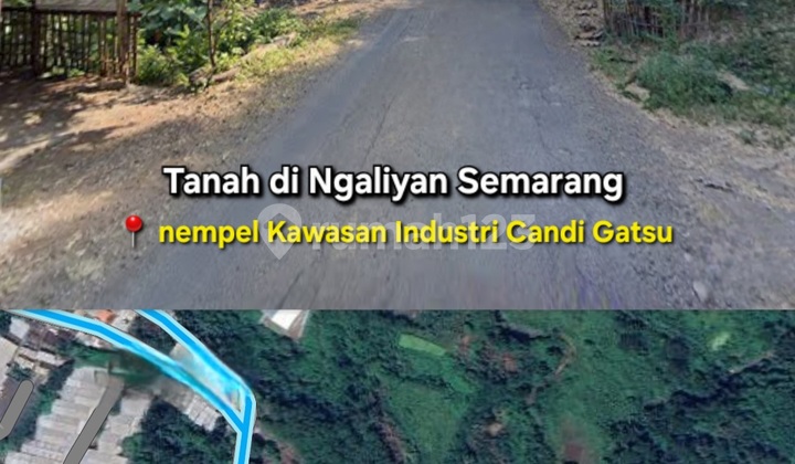 Land in Ngaliyan Adjacent to the Candi Gatsu Industrial Area. 1