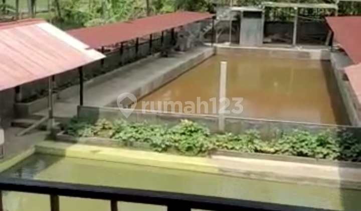 Ruang-usaha Resto Kolam Pemancingan Di Ambarawa Semarang Ruang-usaha Resto Kolam Pemancingan Di Ambarawa Semarang
