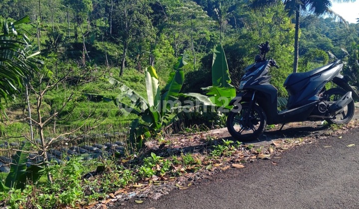 Tanah Di Sumowono View Cantik 2