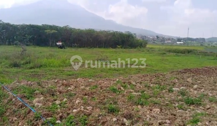 Tanah View Cantik Di Sumowono Semarang 2