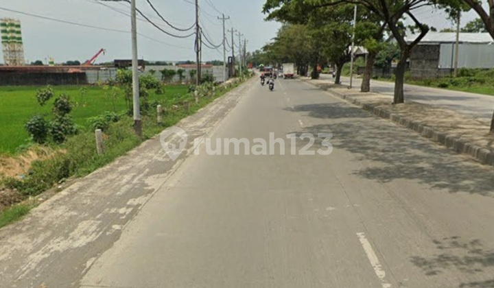 Industrial Land in Kaliwungu, Kendal, Central Java