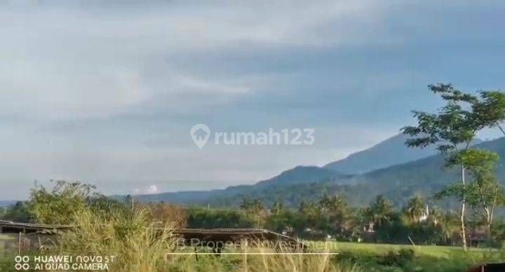 Tanah Sawah View Istimewa Strategis di Jalan raya Ambarawa - Banyubiru 1900 m² di Jalan Banyubiru Ambarawa 2