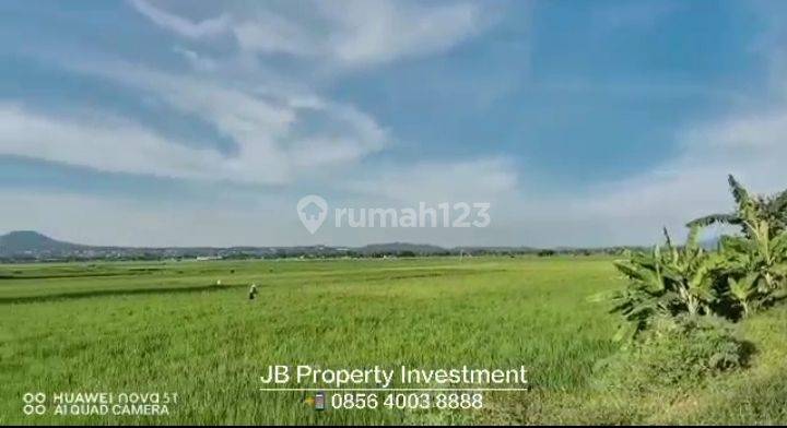 Tanah Sawah View Istimewa Strategis di Jalan raya Ambarawa - Banyubiru 1900 m² di Jalan Banyubiru Ambarawa 1