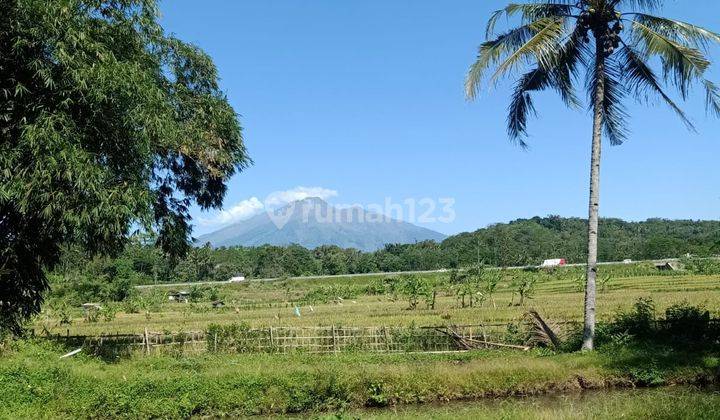 Tanah Kolam Ikan produktif di Suruh Kabupaten Semarang 1100 m² SHM 1