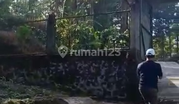 Tanah Kebun Durian di Ngabean Boja Kendal Jawa tengah 20000 m² SHM 4