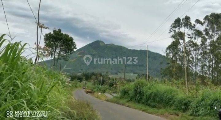 Tanah Kebun Strategis View Istimewa di Getasan Kopeng Salatiga 852 m² SHM 1