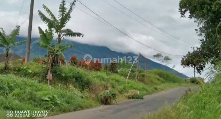 Tanah Kebun Strategis View Istimewa di Getasan Kopeng Salatiga 852 m² SHM 2