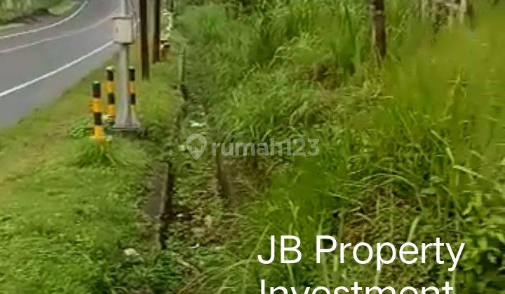 Tanah Industri Strategis di Ampel Jl Raya Salatiga Boyolali luas 3000 m² SHM 1