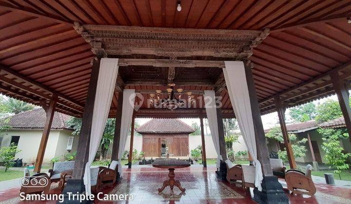 Rumah Villa Joglo Guest House Homestay di Dekat Jl Palagan Kampus UII Yogyakarta SHM 2