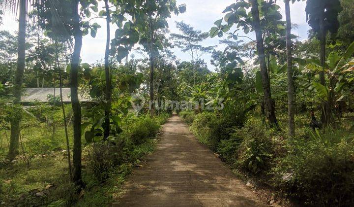 Tanah Potensial dan Murah Lokasi di Desa Ketapang Susukan Kab Semarang Jawa tengah 20000 m² SHM 2