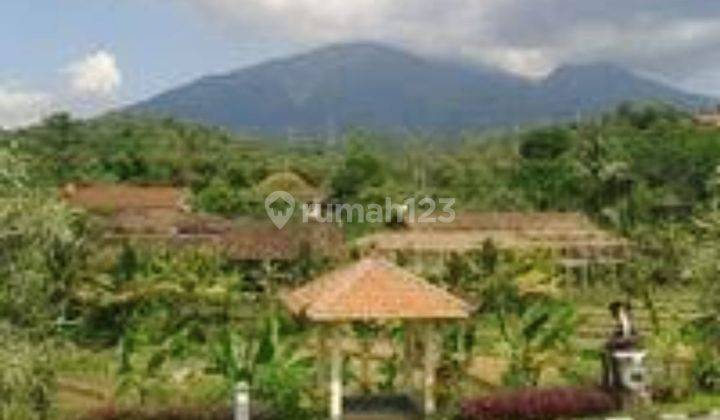 Tanah Bangunan Agrowisata di Mapagan Ungaran Barat Kabupaten Semarang 24000 m² SHM 1