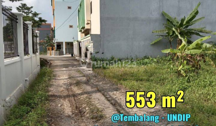 Tanah Strategis dibangun Rumah Kost di UNDIP Tembalang Semarang SHM 1