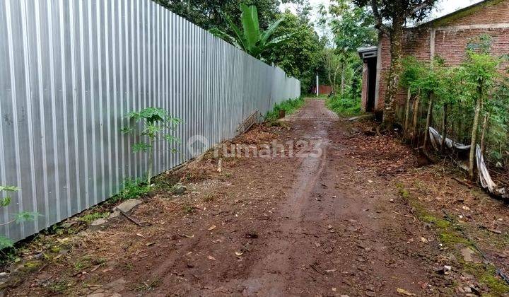 Tanah Kuning Perumahan Murah di Jatibarang Kaligetas Mijen Semarang 9000 m² SHM 1