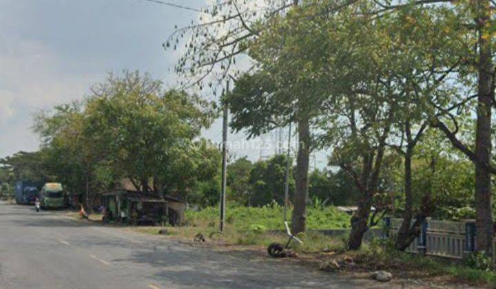 Tanah Strategis Jalan Pantura Rembang Pasar Banggi Lasem Rembang  1