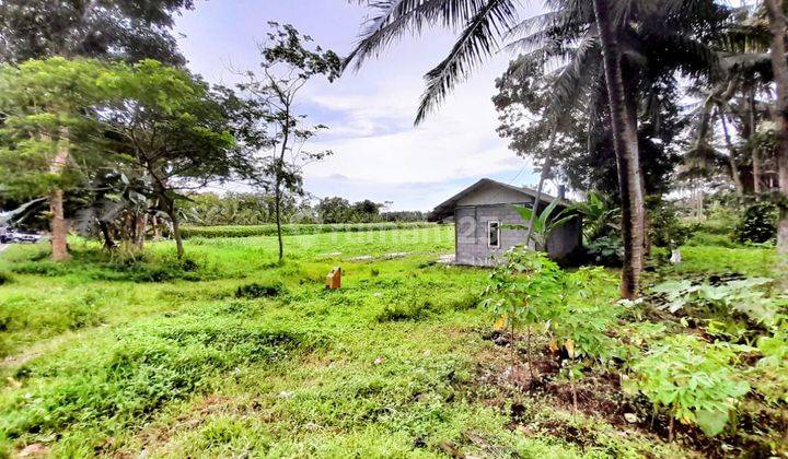 Tanah Strategis di Jalan Daendels Purworejo dekat Airport YIA  2