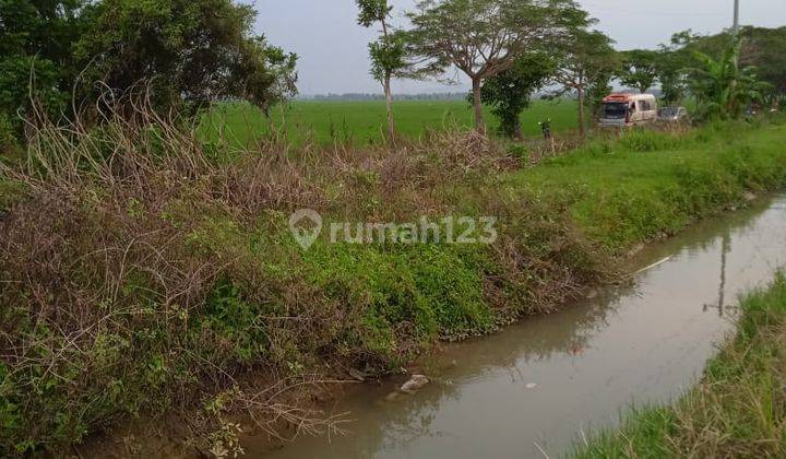 Tanah di Jl Raya Semarang Purwodadi, Penawangan Grobogan 5