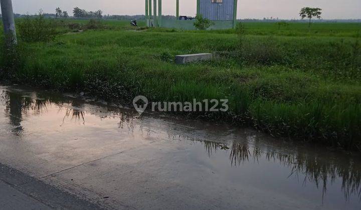Tanah di Jl Raya Semarang Purwodadi, Penawangan Grobogan 6