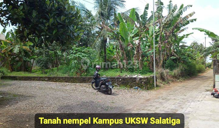 Tanah di Sidorejo Kampus UKSW Salatiga Kota 2