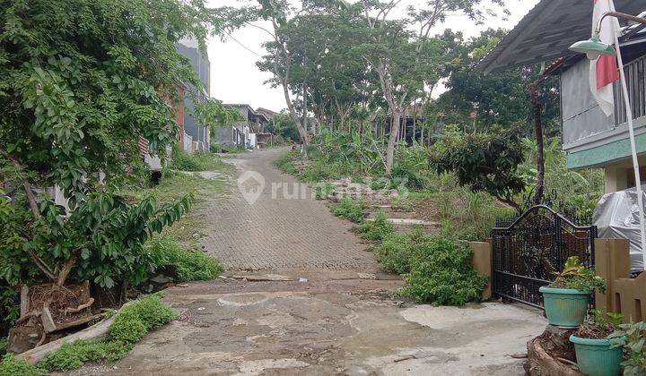 Tanah di Kampus UNNES Sekaran Gunungpati Semarang 2