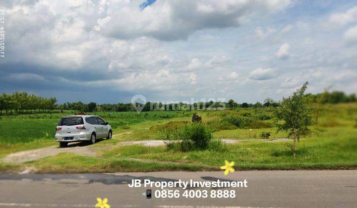 Tanah Sawah di Belun Temayang Bojonegoro Jawa Timur 2