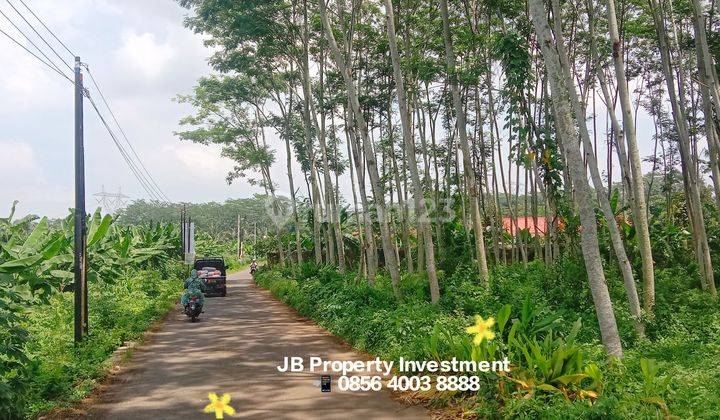 Tanah Perumahan di Wonolopo Mijen Semarang 1