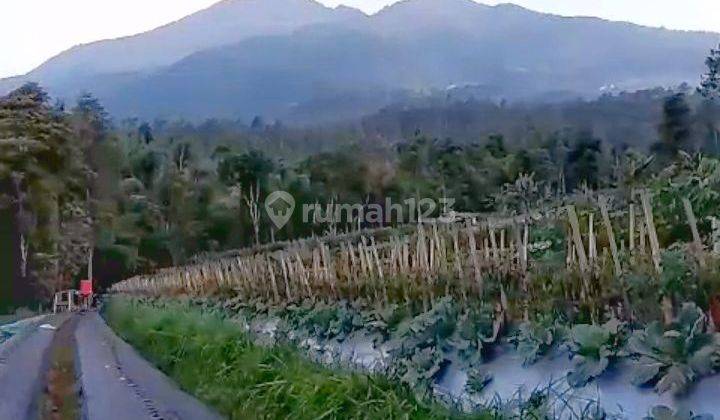 Tanah Kebun di Getasan Kabupaten Semarang 1