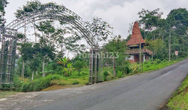 Tanah Kebun Kopi di Jalan Sumowono - Jambu Ambarawa 1