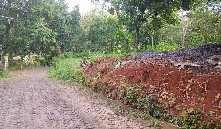 Tanah di Sekaran dekat Kampus UNNES Gunungpati Semarang 1