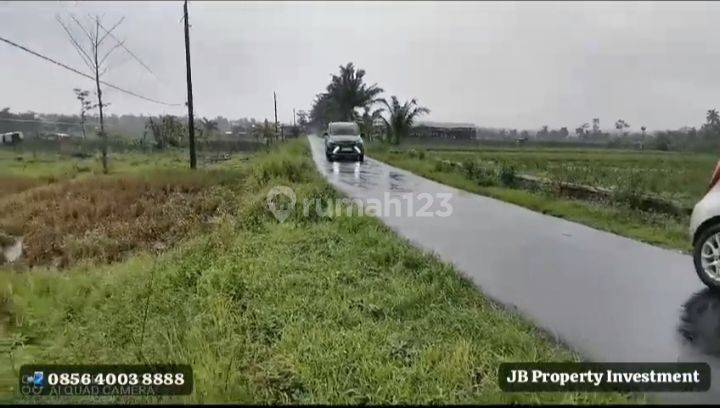 Tanah Sawah di dekat Wisata Muncul Ambarawa Kabupaten Semarang 2