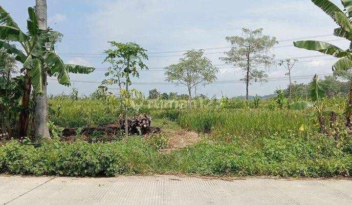 Tanah di Kawasan Industri Pringapus Kabupaten Semarang 1