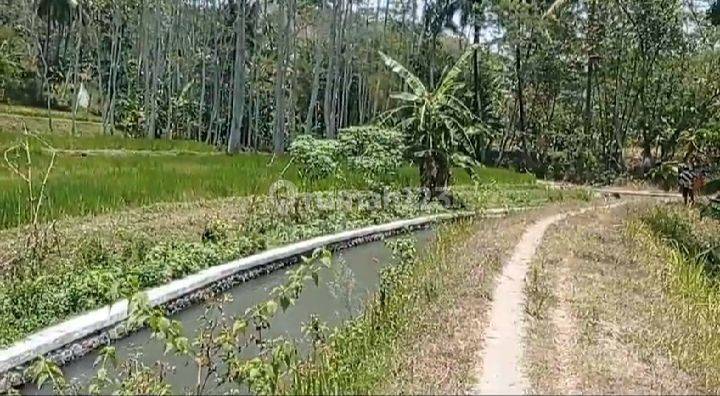 Tanah Sawah di Sruwen Susukan Kabupaten Semarang 1