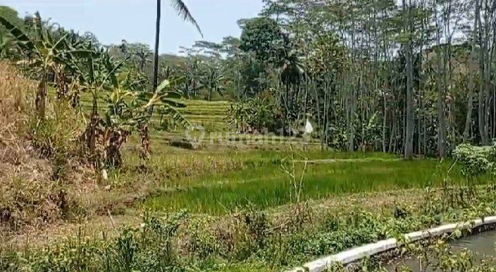 Tanah Sawah di Sruwen Susukan Kabupaten Semarang 2