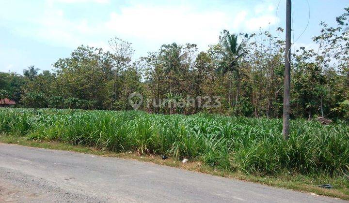 Tanah Industri di Kawasan Industri Wonosegoro, Kota Boyolali 1