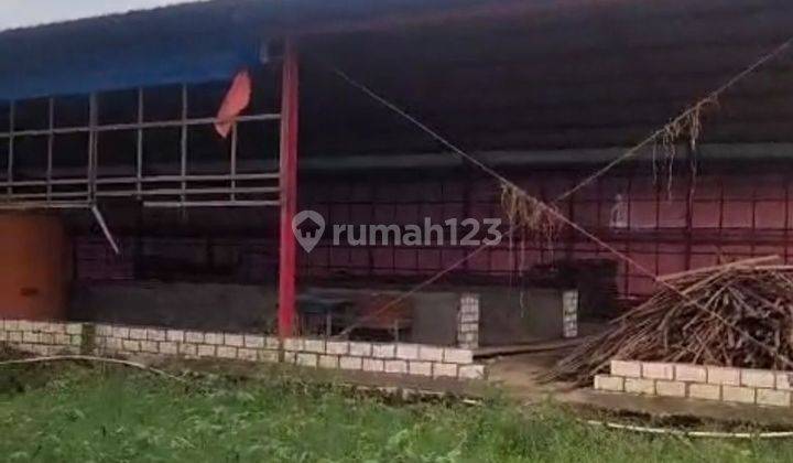 Ruang Usaha Kandang Ayam di Kota Pati Jawa Tengah 2