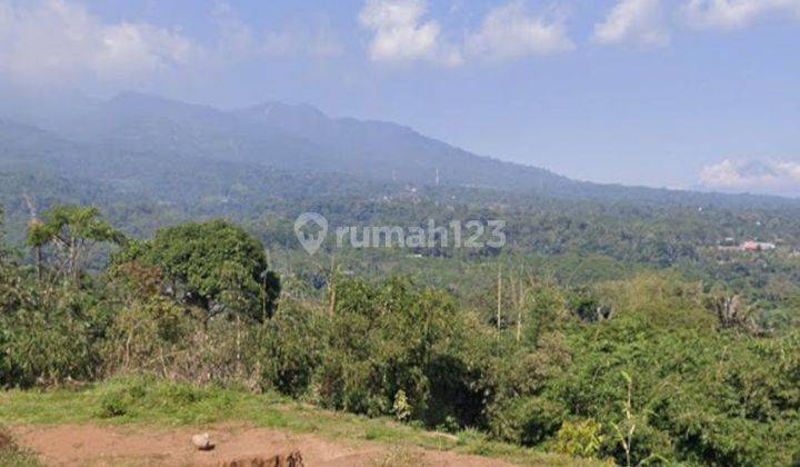 Tanah Pekarangan di Pasigitan Boja, Kota Semarang 1